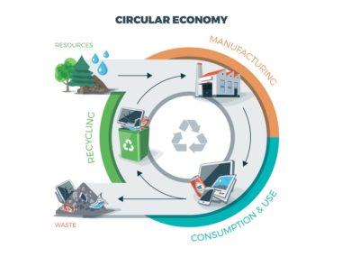 Циклическая экономика устойчивые практики Circular and Linear Economy