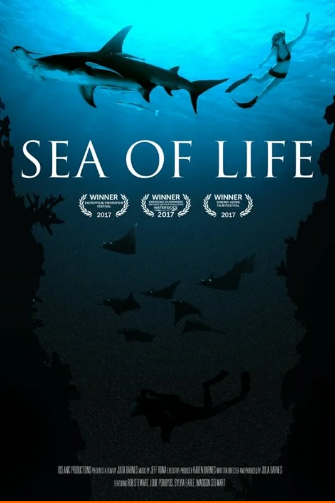 Море жизни